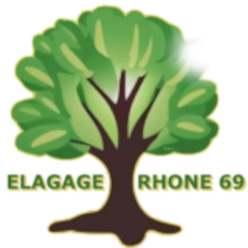 Logo  Elagage Rhône 69
